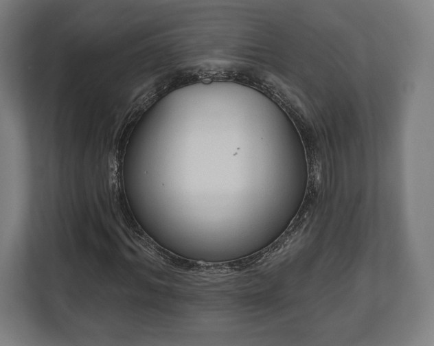 X0000110860964200906251205