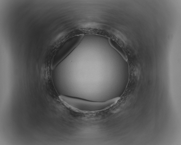 X0000110860965200906251205