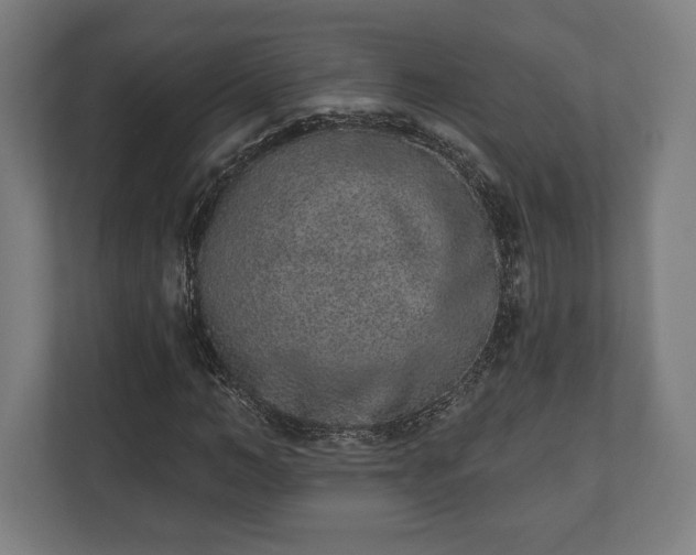 X0000110860966200906251205