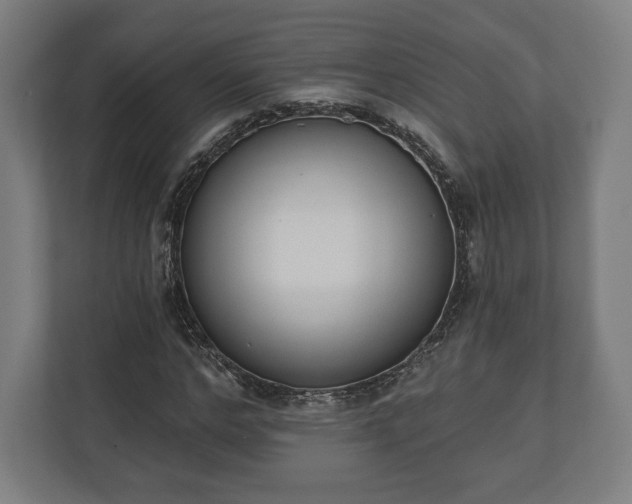 X0000110860968200906251205