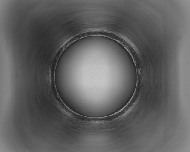 X0000110860969200906251205