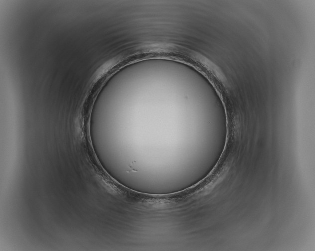 X0000110860970200906251205