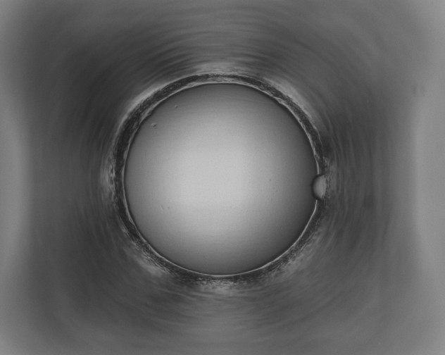 X0000110860971200906251205