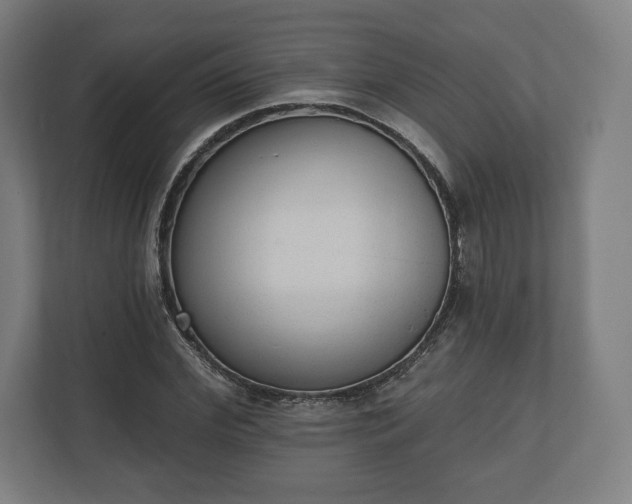 X0000110860972200906251205