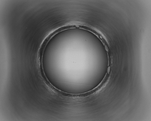 X0000110860973200906251205