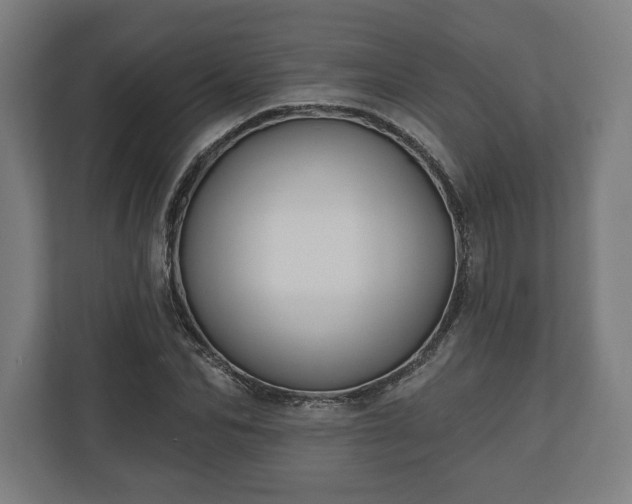 X0000110860974200906251205