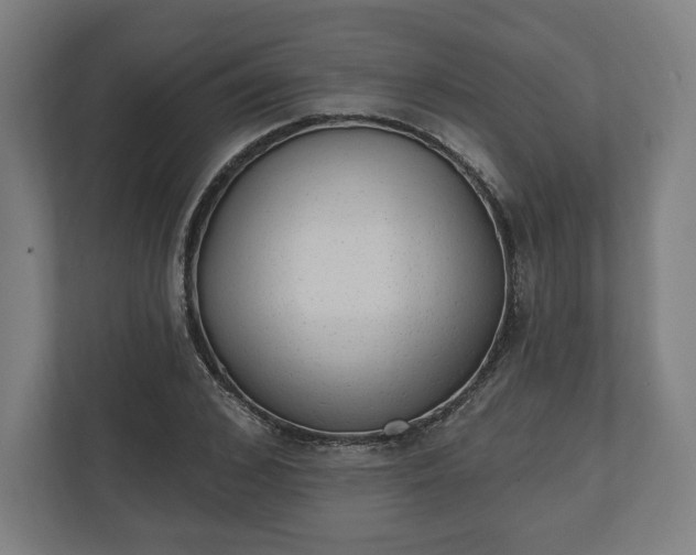 X0000110860976200906251205