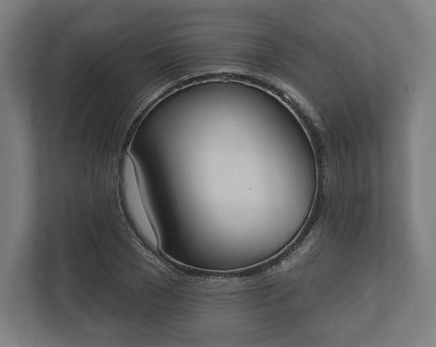 X0000110860977200906251205