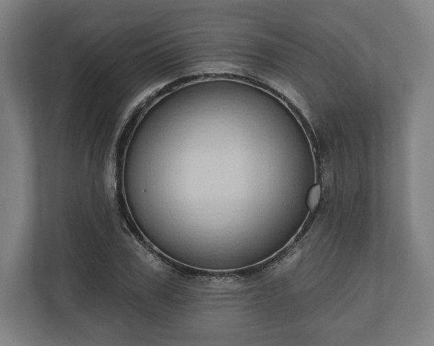 X0000110860979200906251205