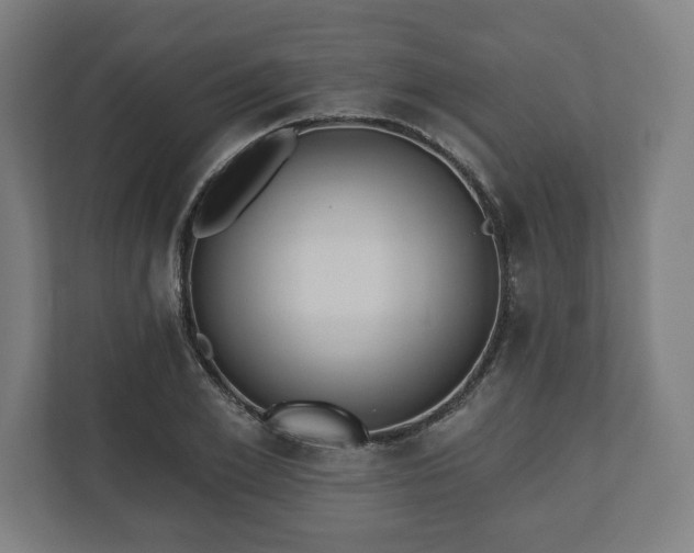 X0000110860981200906251205