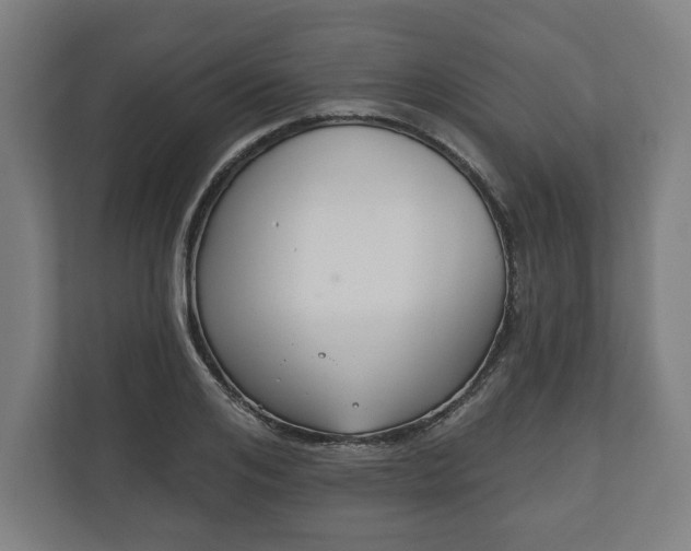 X0000110860984200906251205