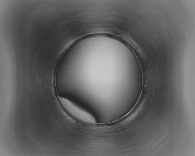 X0000110860985200906251205