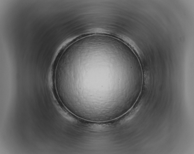 X0000110860987200906251205