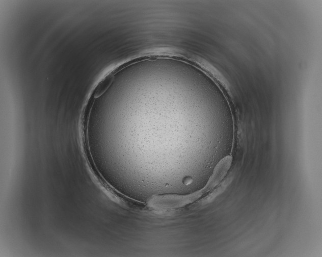 X0000110860989200906251205