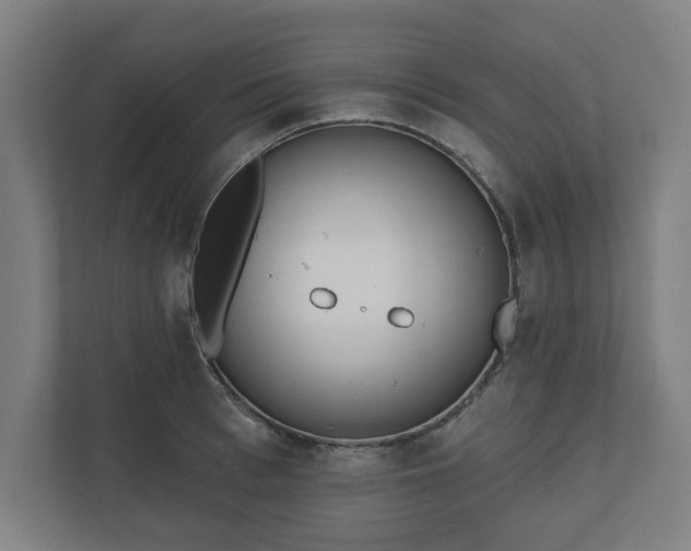 X0000110860993200906251205