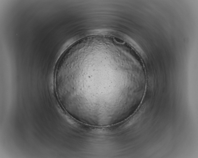 X0000110860994200906251205