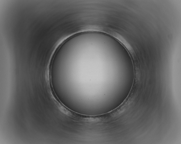 X0000110860996200906251205