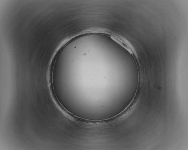 X0000110860997200906251205