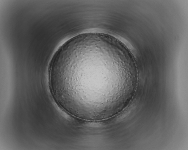 X0000110860998200906251205