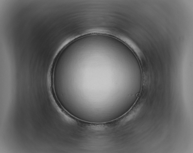 X0000110860999200906251205