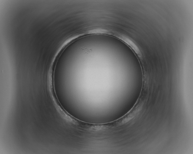 X0000110861000200906251205