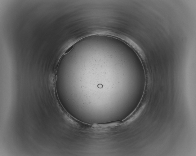 X0000110861001200906251205