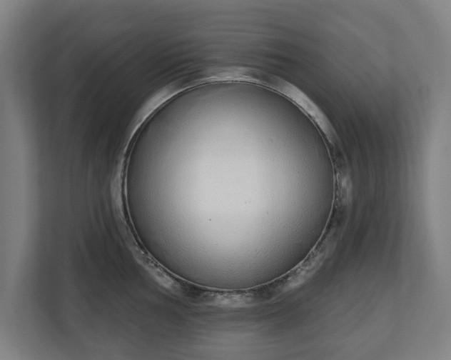 X0000110861002200906251205