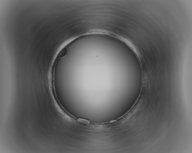 X0000110861003200906251204