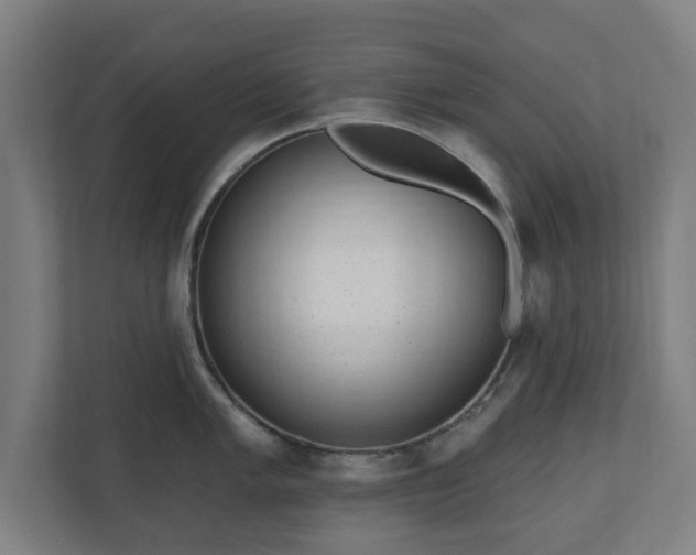 X0000110861005200906251204