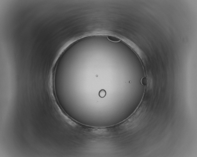 X0000110861006200906251204