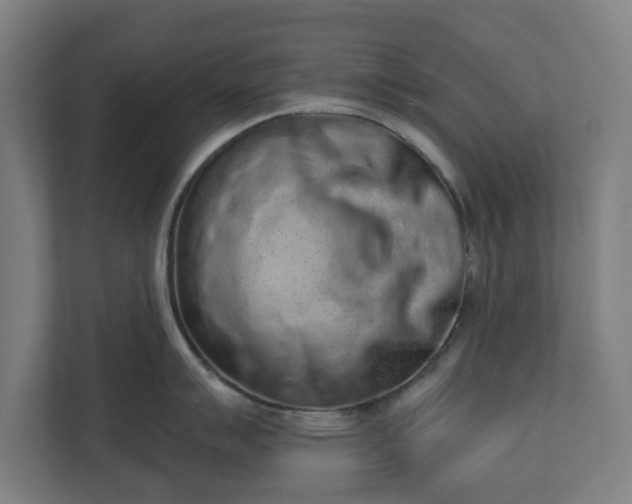 X0000110861007200906251204