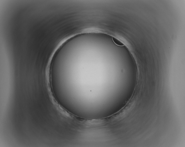 X0000110861008200906251204