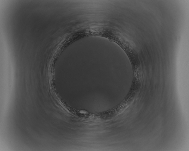 X0000110861009200906251204