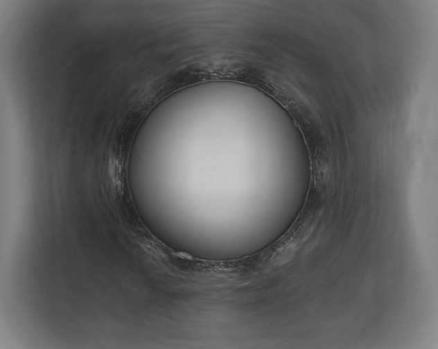 X0000110861010200906251204