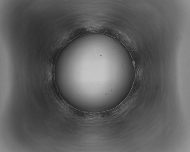 X0000110861012200906251204