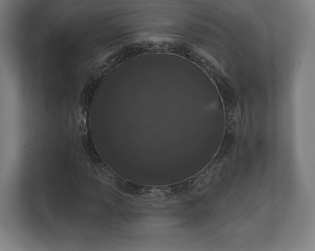 X0000110861013200906251204