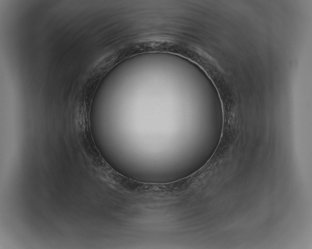 X0000110861014200906251204