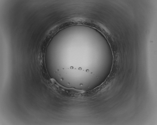 X0000110861016200906251204