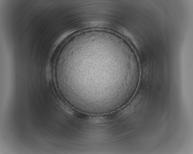 X0000110861019200906251204