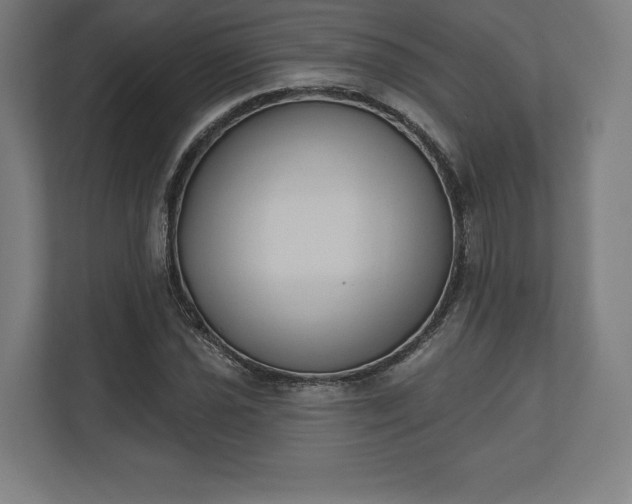 X0000110861021200906251204