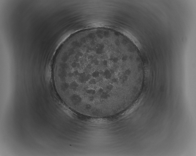 X0000110861023200906251204