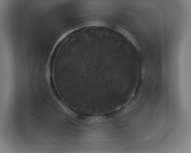 X0000110861024200906251204