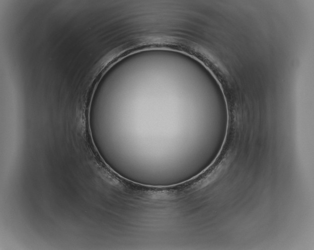 X0000110861025200906251204