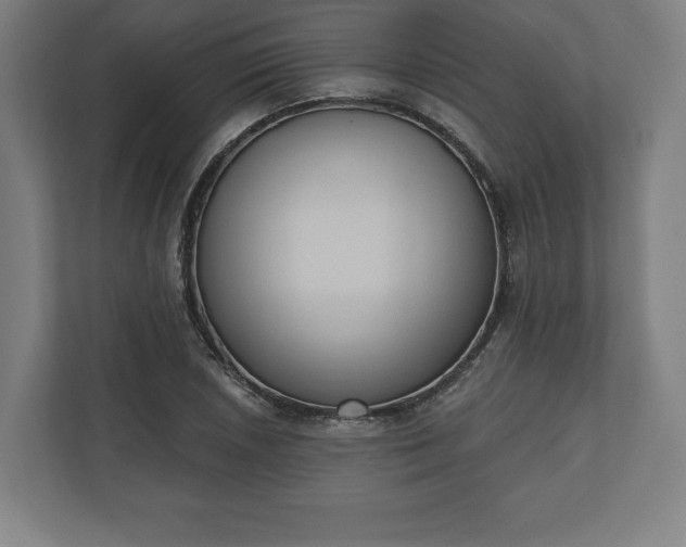 X0000110861026200906251204