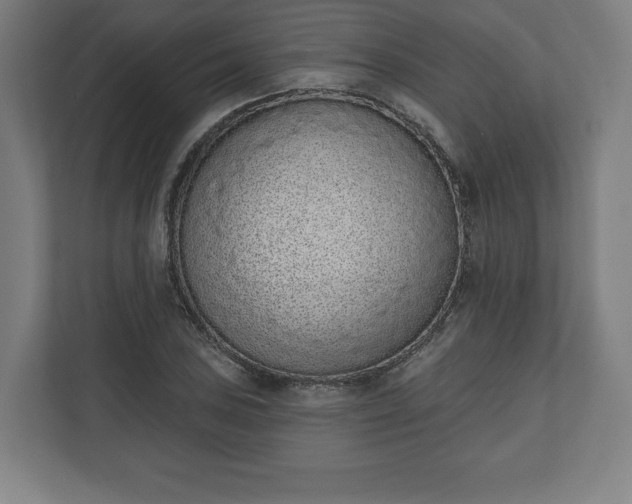 X0000110861027200906251204