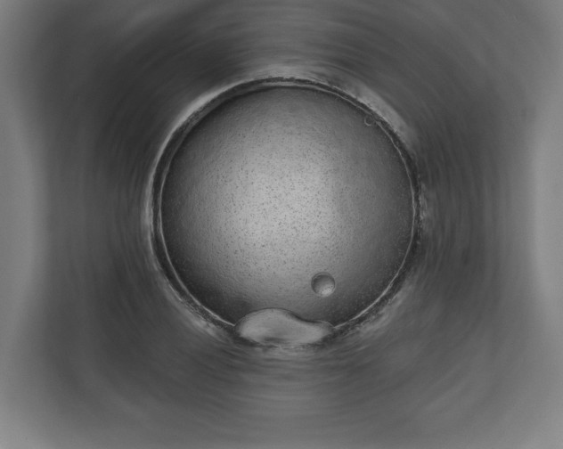 X0000110861028200906251204