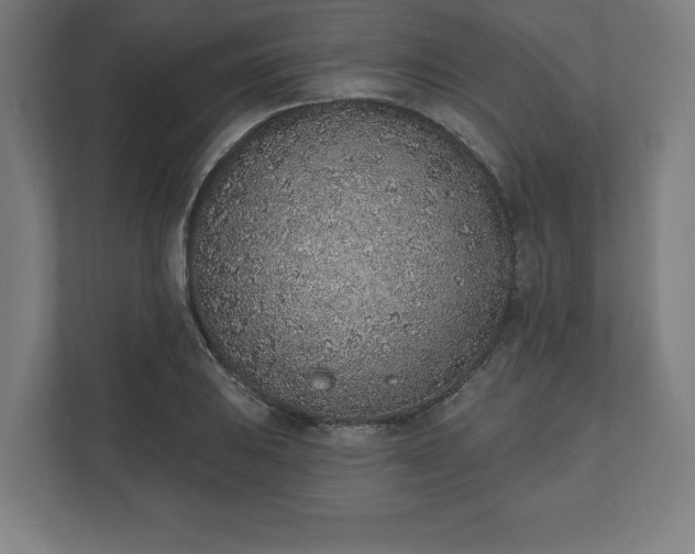 X0000110861031200906251204