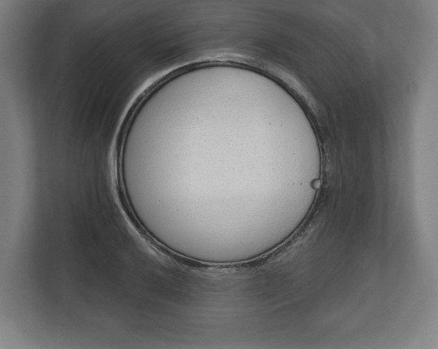 X0000110861032200906251204