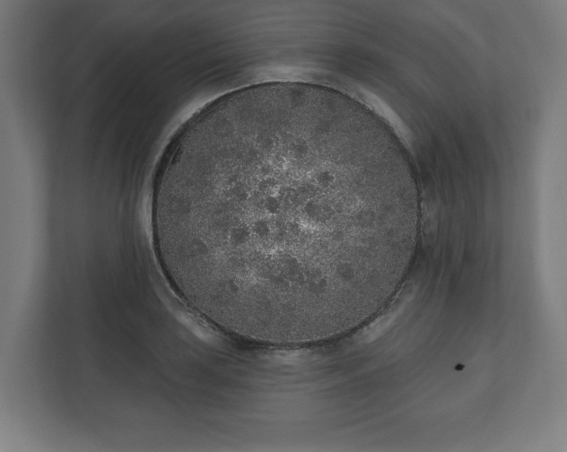 X0000110861035200906251204