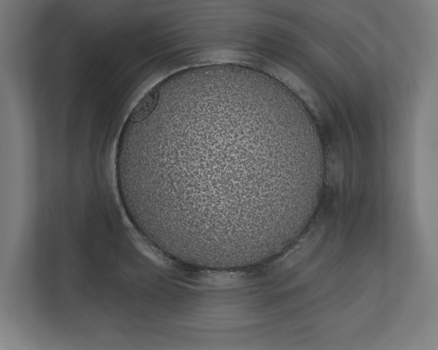 X0000110861039200906251204